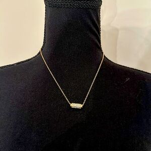 Accent Necklace (NWT)